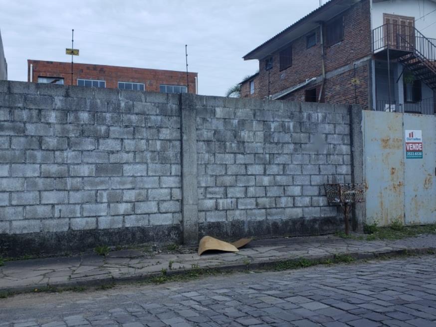 Foto ilustrativa 7 - 2025/605