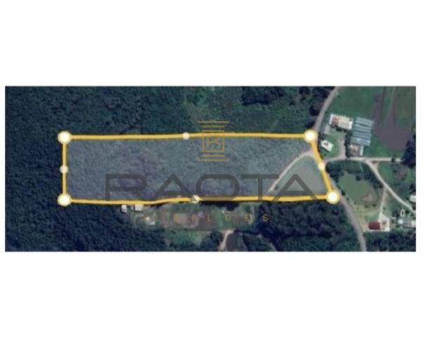 Foto de 5 hectares em Flores da Cunha