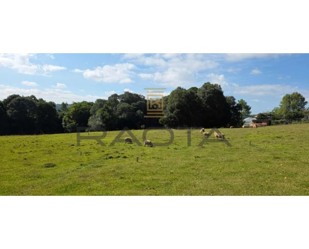 Foto de TERRENO URBANO 15.653,37M2 LINHA 40