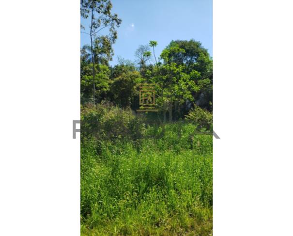 Foto de UM Terreno, sito no lote Rural nº 39, do Travessão São João, 2ª Légua, neste Município, com a área de 1.875m2, contendo um prédio de alvenaria com um pavimento, com a área construída de 438,90m2, para fins industriais, com a conclusão em fins de 1963