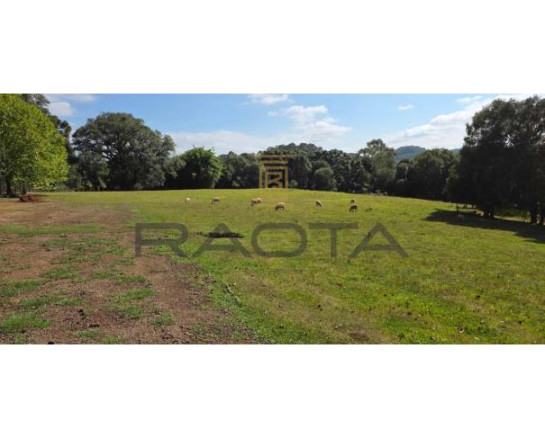 Foto de TERRENO URBANO 15.653,37M2 LINHA 40