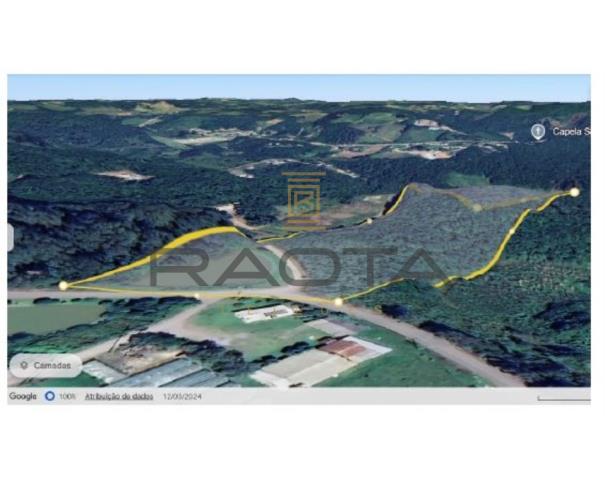 Foto de 5 hectares em Flores da Cunha