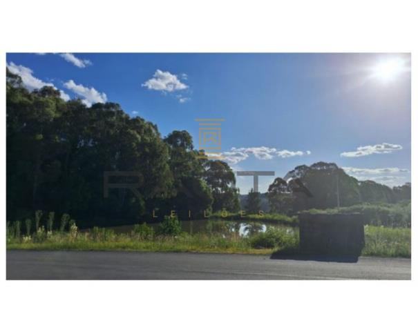 Foto de 5 hectares em Flores da Cunha