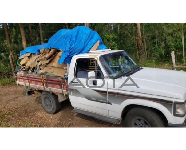 Foto de GM/D20 CUSTOM DE LUXE, Ano/modelo: 1994/1995, Placa: BQV 5369,