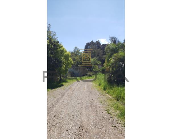 Foto de UM Terreno, sito no lote Rural nº 39, do Travessão São João, 2ª Légua, neste Município, com a área de 1.875m2, contendo um prédio de alvenaria com um pavimento, com a área construída de 438,90m2, para fins industriais, com a conclusão em fins de 1963