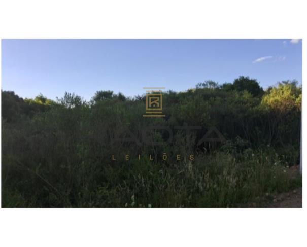 Foto de 5 hectares em Flores da Cunha