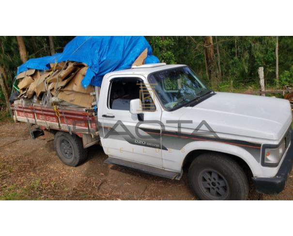 Foto de GM/D20 CUSTOM DE LUXE, Ano/modelo: 1994/1995, Placa: BQV 5369,