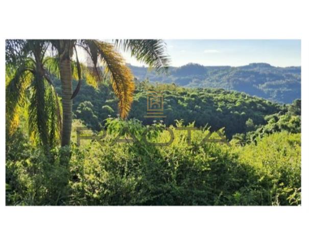 Foto de 5 hectares em Flores da Cunha