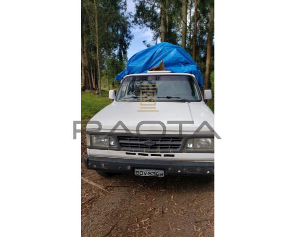 Foto de GM/D20 CUSTOM DE LUXE, Ano/modelo: 1994/1995, Placa: BQV 5369,