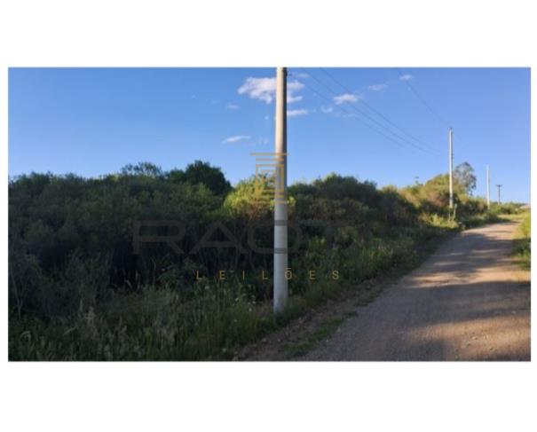 Foto de 5 hectares em Flores da Cunha